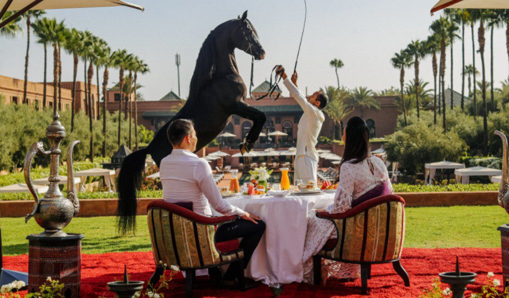 Arabian horses at the Selman Marrakech hotel in Morocco