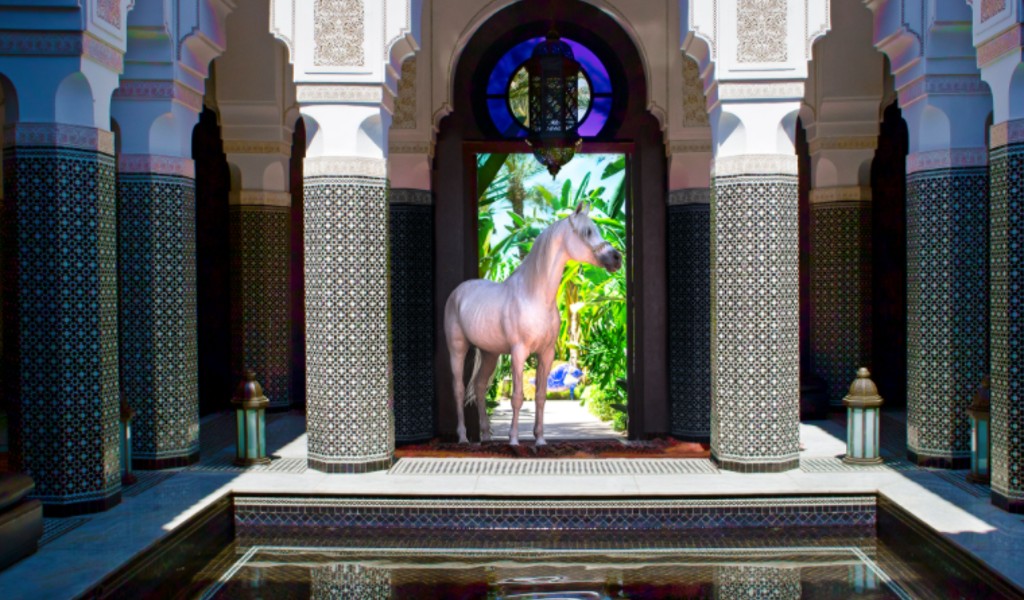 Arabian horses at the Selman Marrakech hotel in Morocco