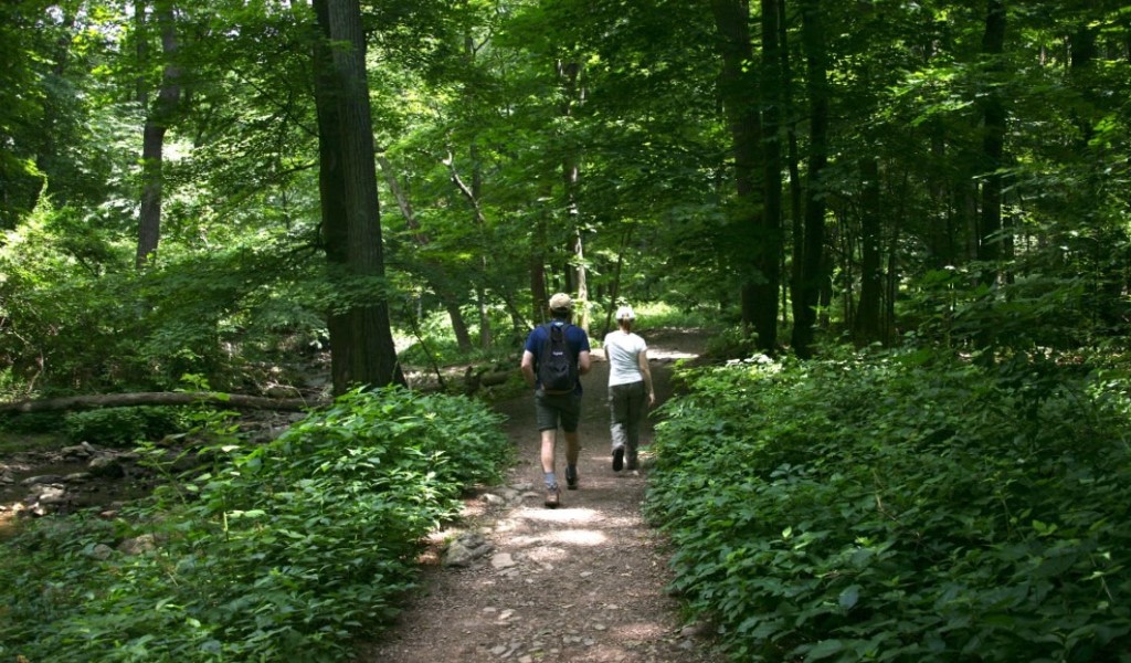 Appalachian Trail (Credit: The New Jersey Division of Travel and Tourism)