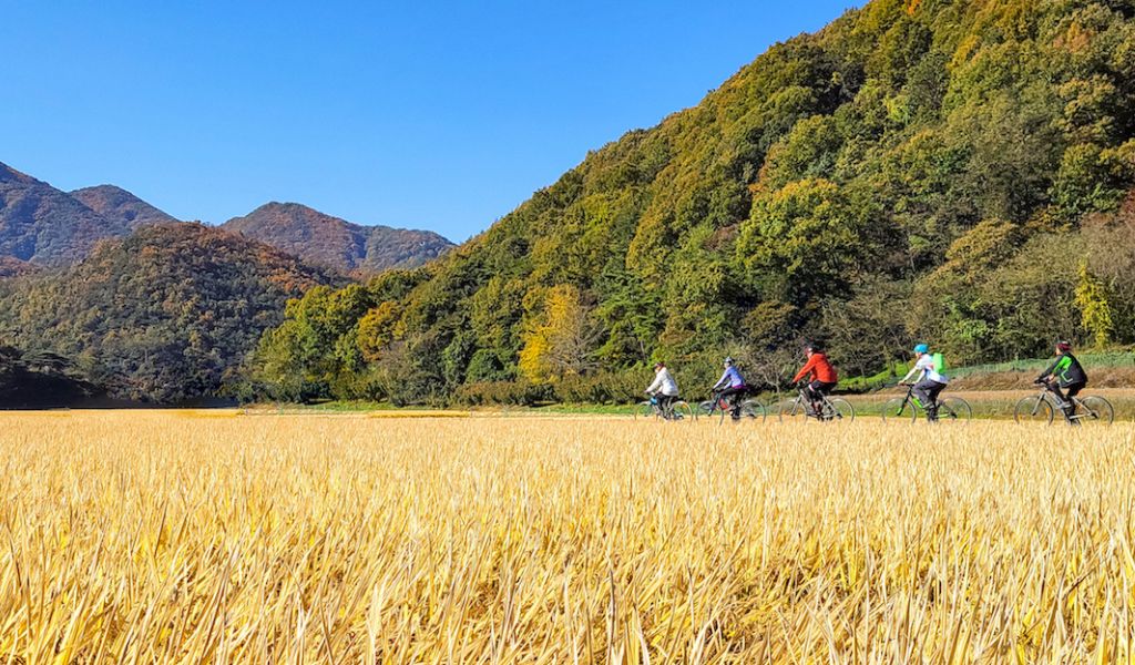 Sports holidays: adventure cycling in South Korea with Saddle Skedaddle