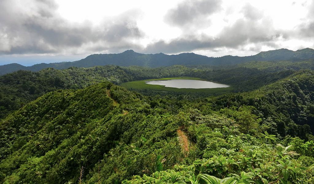 Grand Etang National Park in Grenada