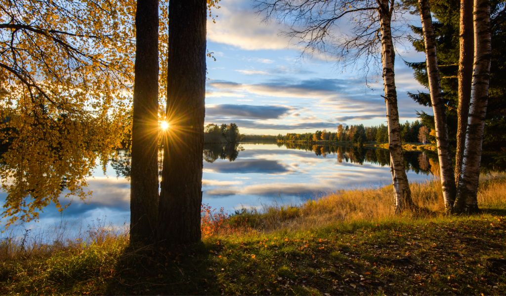 River in Dalarna, Sweden (Image: Best Served Scandinavia)