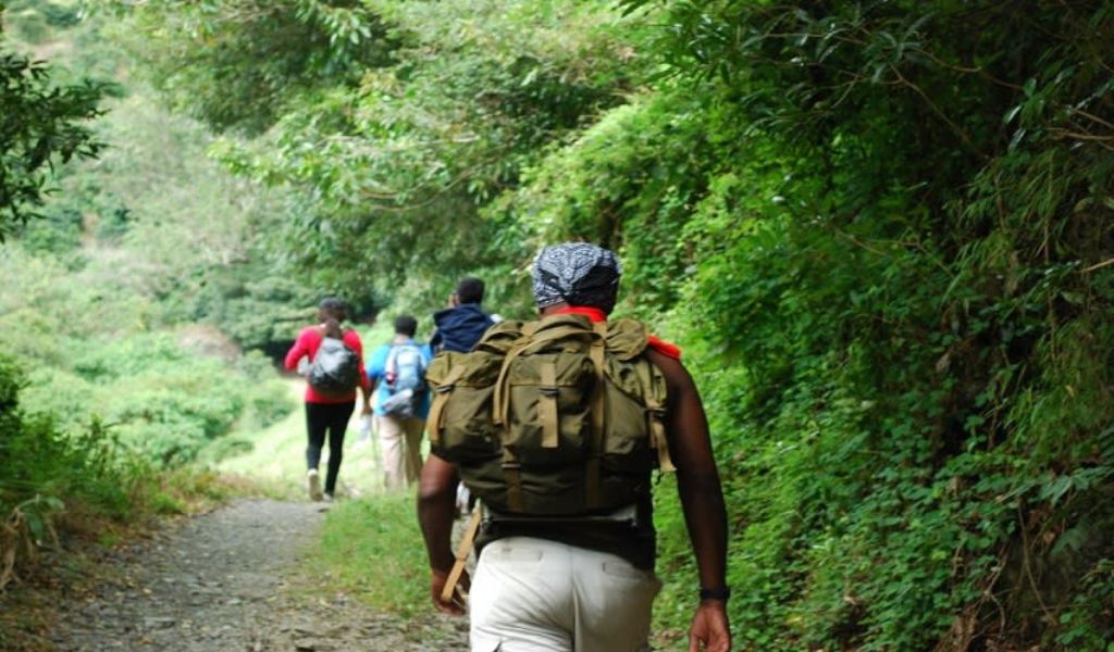 Hiking the Blue Mountain Peak in Jamaica