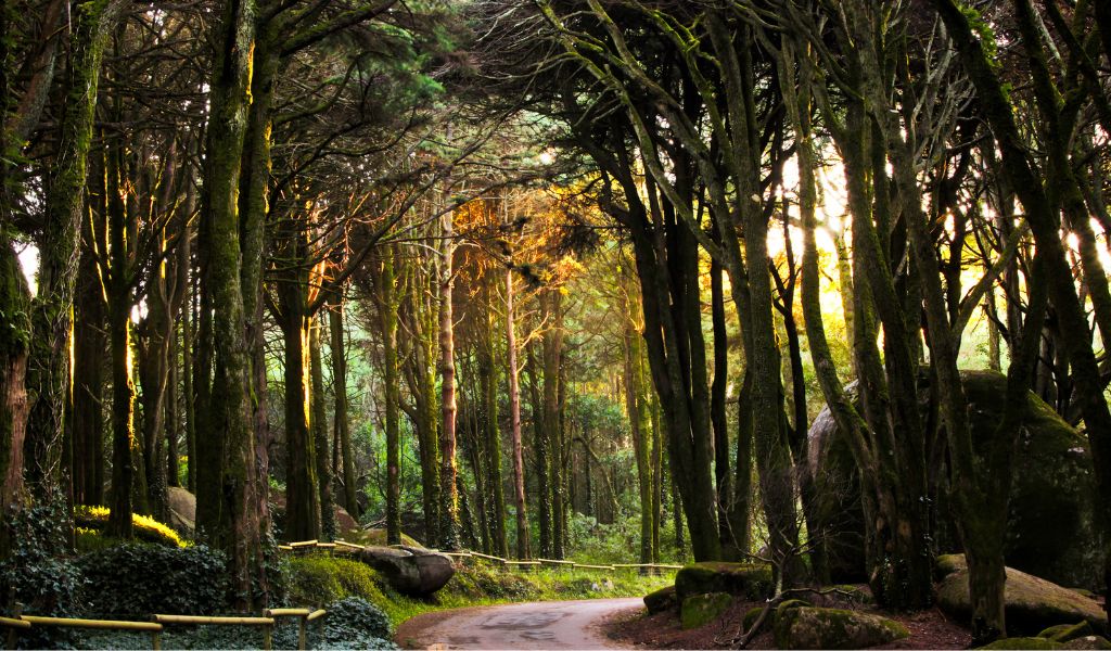 Sintra-Cascais Nature Park near Lisbon in Portugal (Image: Turismo de Lisboa)