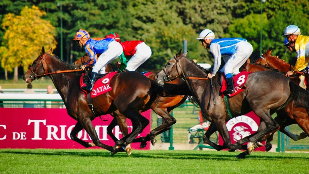 horse racing (Photo by Philippe Gras on Unsplash)