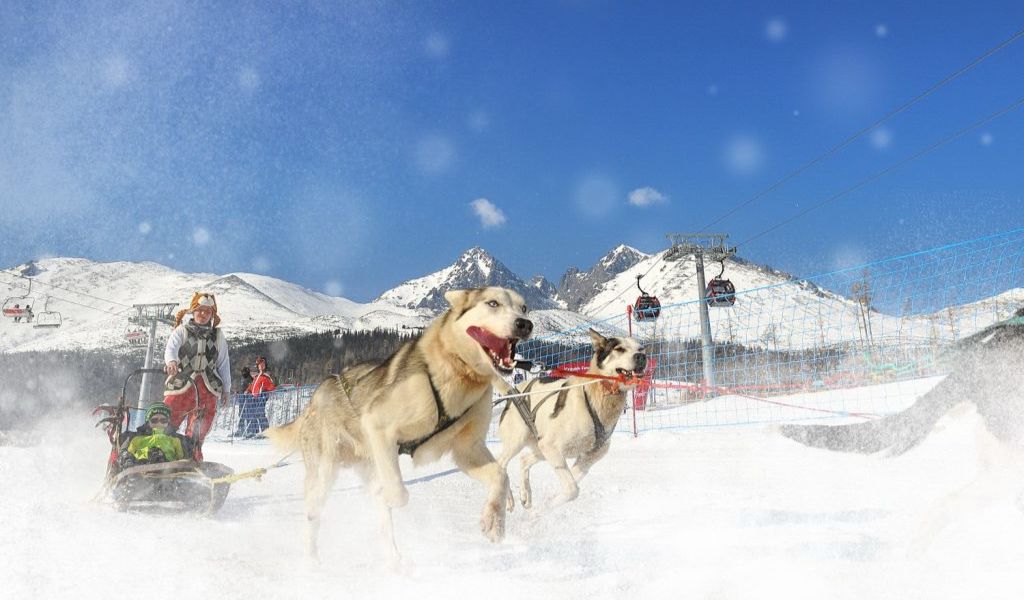 Bucket-list guide to winter in the Tatra Mountains