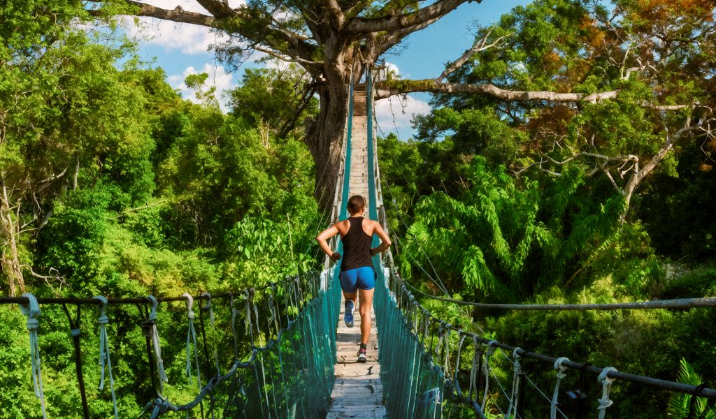 The inaugural Amazon Marathon will be held on 9 September 2026