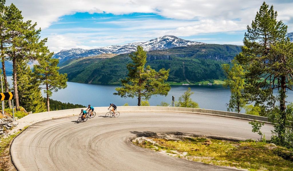 A self-guided leisure cycling holiday exploring Stockholm Archipelago with Saddle Skedaddle