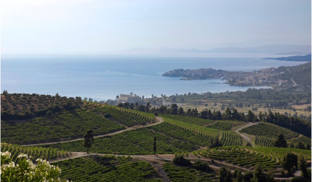 Porto Carras Athlos event in Halkidiki - sports travel bucket list