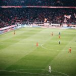 Global sports tourism market to reach $957.91 billion by 2031 – report