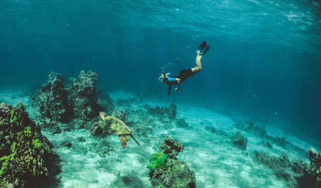 Active travel and “sportcations” are continuing to be one of the biggest trends in tourism, with Trip.com Group seeing a strong double-digit increase in bookings (Photo by Subtle Cinematics on Unsplash)